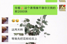 高碑店为什么选择专业追讨公司来处理您的债务纠纷？